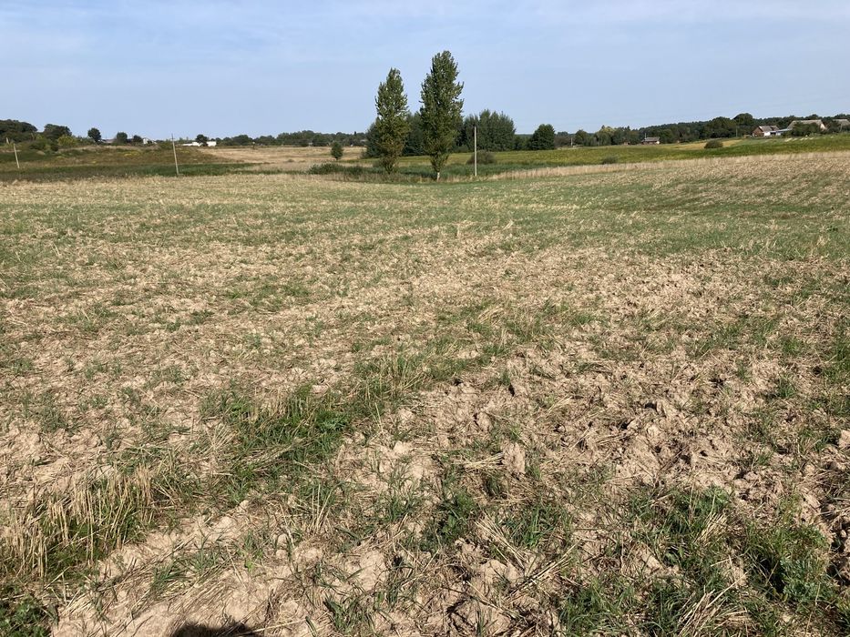 Участок 76 сотих