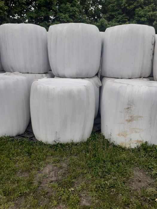 Sianokiszonka podsuszała