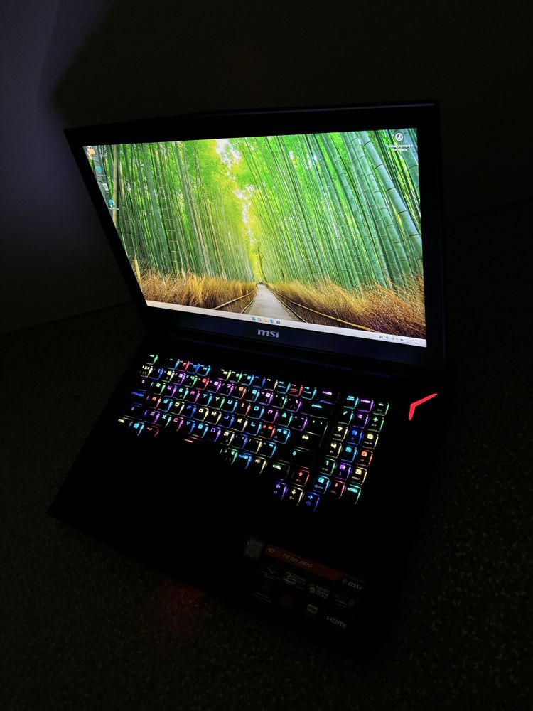 MSI TITAN Intel® Core™ i7 32GB RAM M2 512GB+1TB 17,3 120Hz GTX1080 8GB