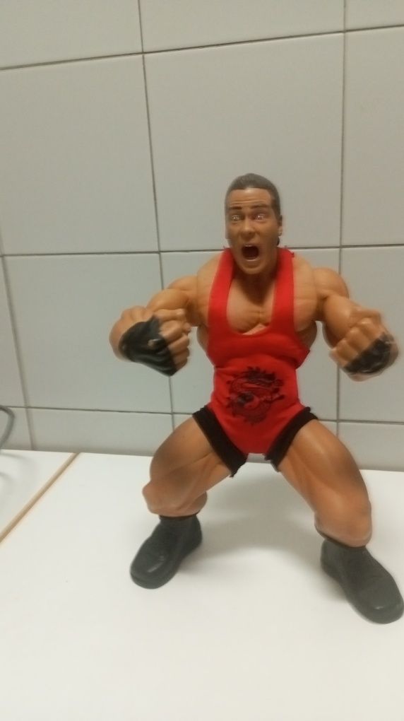 Boneco/Figura de Ação 2005 JAKKS Pacific Vivid WWE ROB VAN DAM (RARO)