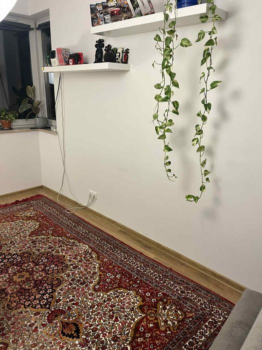 Dywan produkcji polskiej 250x180