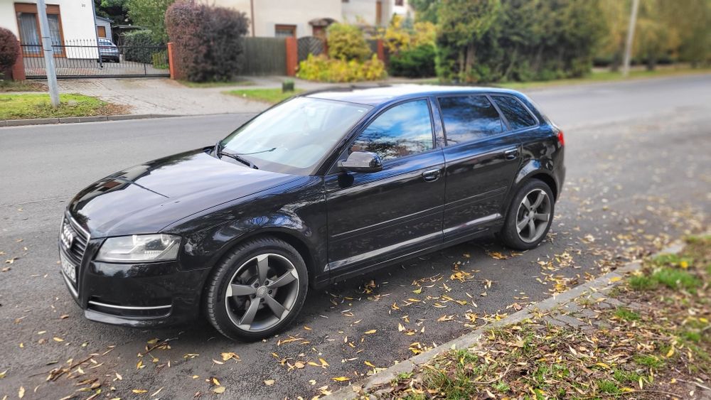 Audi a3 8p 2.0tdi common rail  dsg