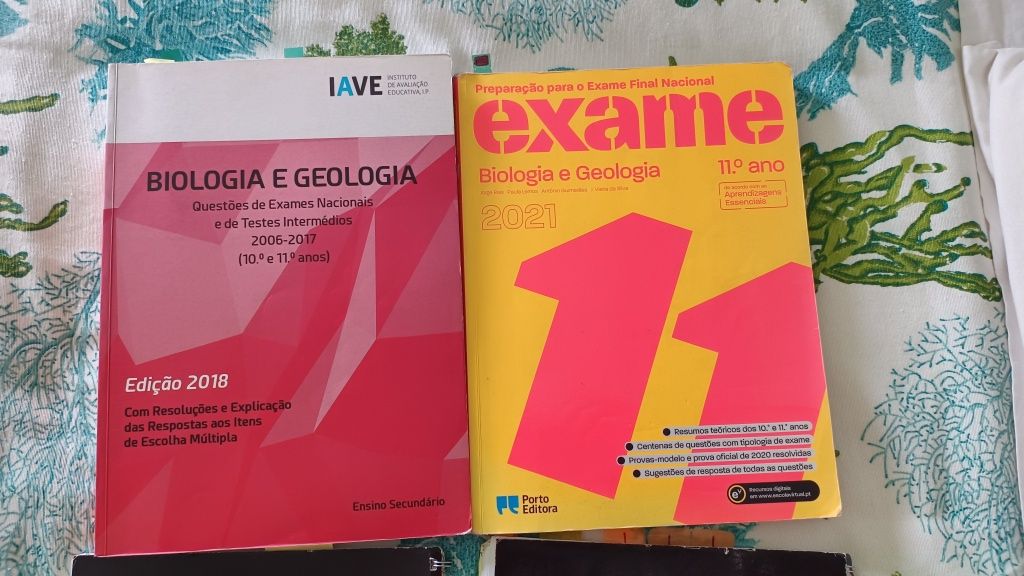 PACK Estudo Exames 11⁰ Ano