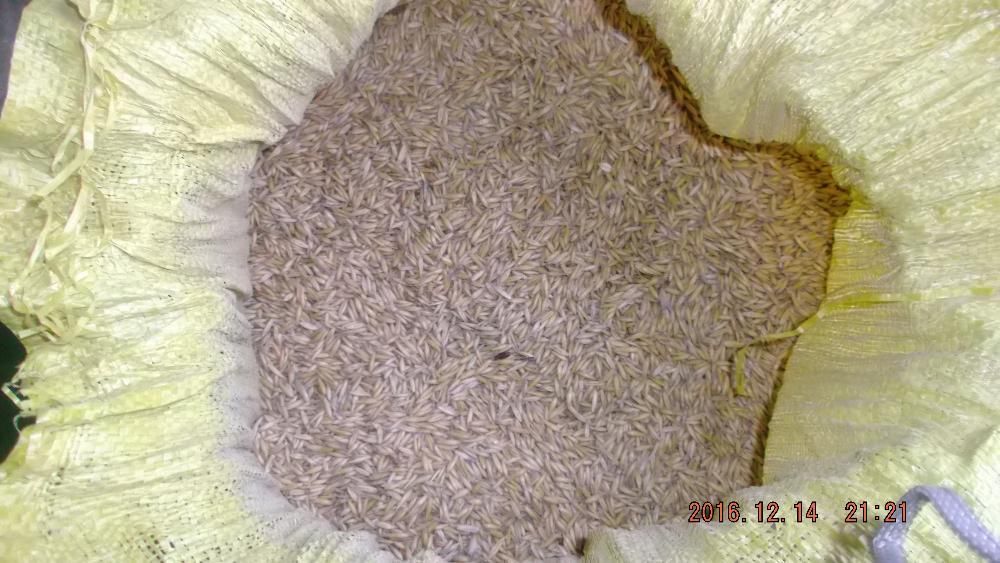 sprzedam owies workowany konie trasport