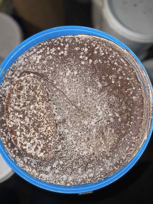 Barry Callebaut  чорний молочный белый  60%,28%,64%70%/молочний, білий