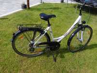 Rower damski Pegasus