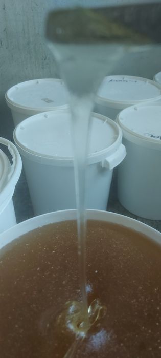 Знижка. Акція.  Продам мед з соняшника. Умови в описі.