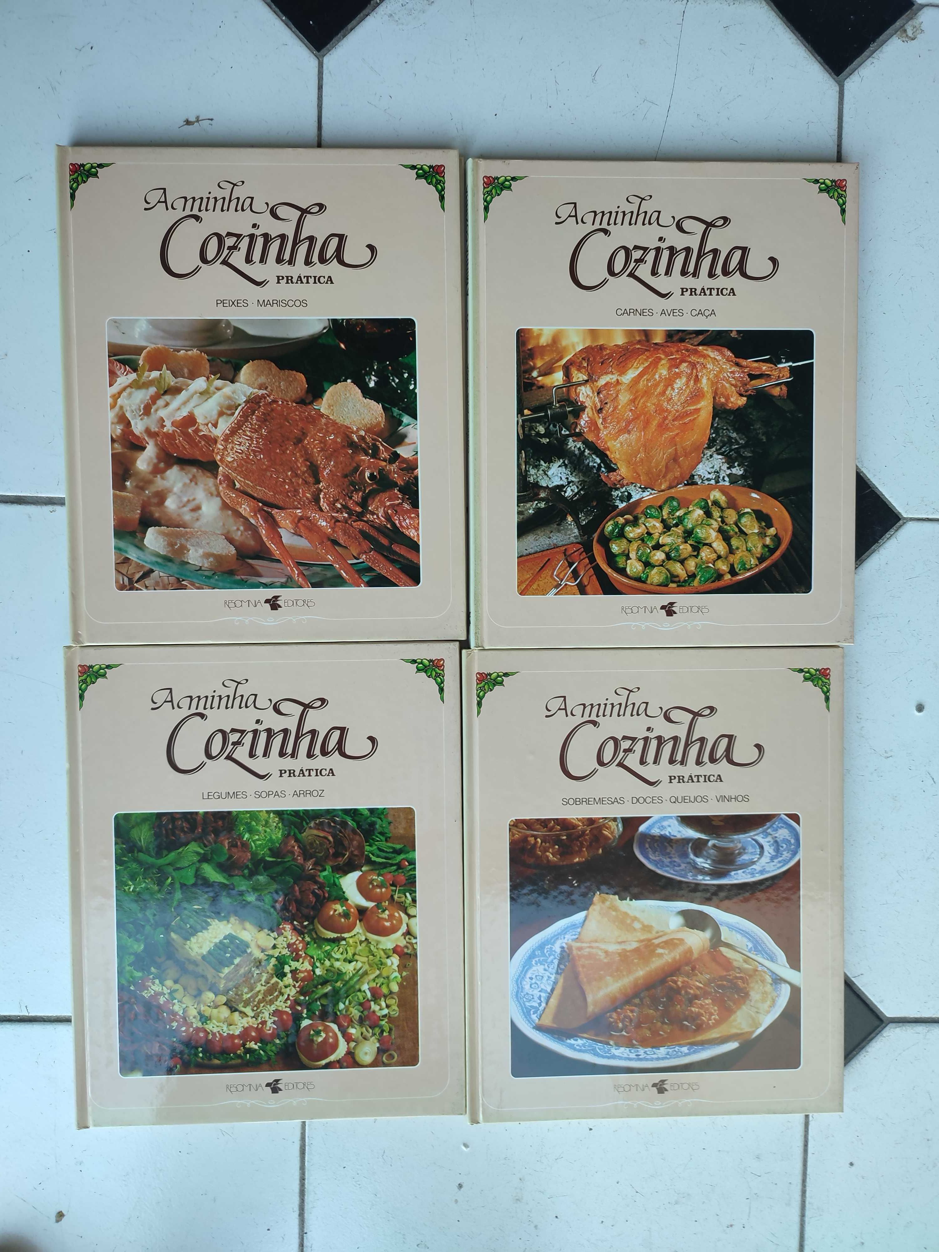 Lote 12 LIvros Cozinha Internacional e Cozinha Prática