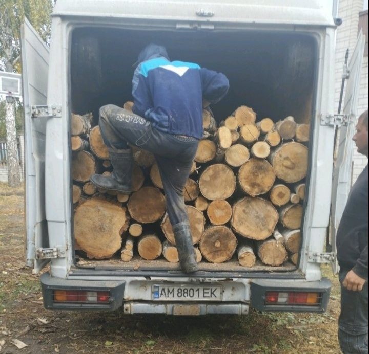 ДУБОВІ дрова 10 тис. МІНІМАЛЬНА ЦІНА!  Буча. 5/10/15/26 ск/м