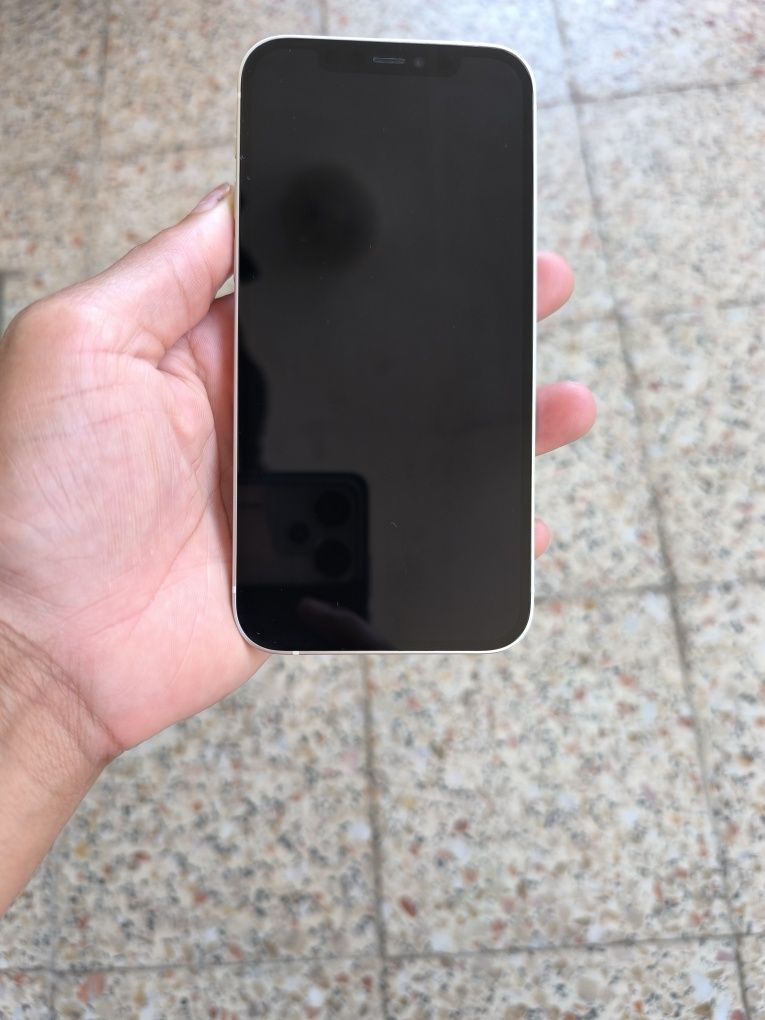 iPhone 12, impecável