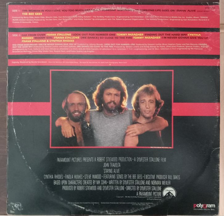 Disco de vinil grande.