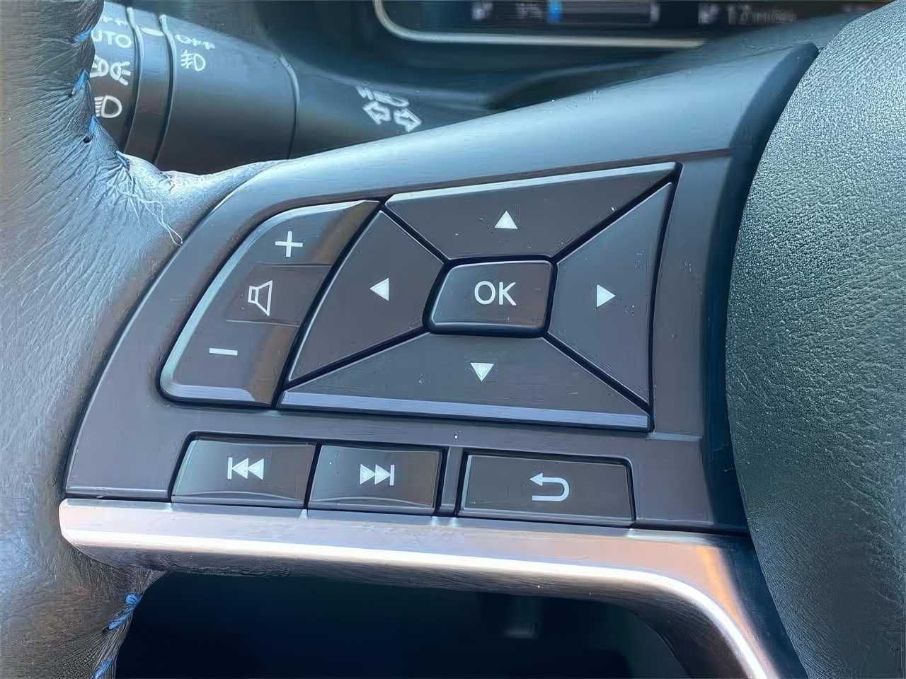 2020 Nissan LEAF SL Plus