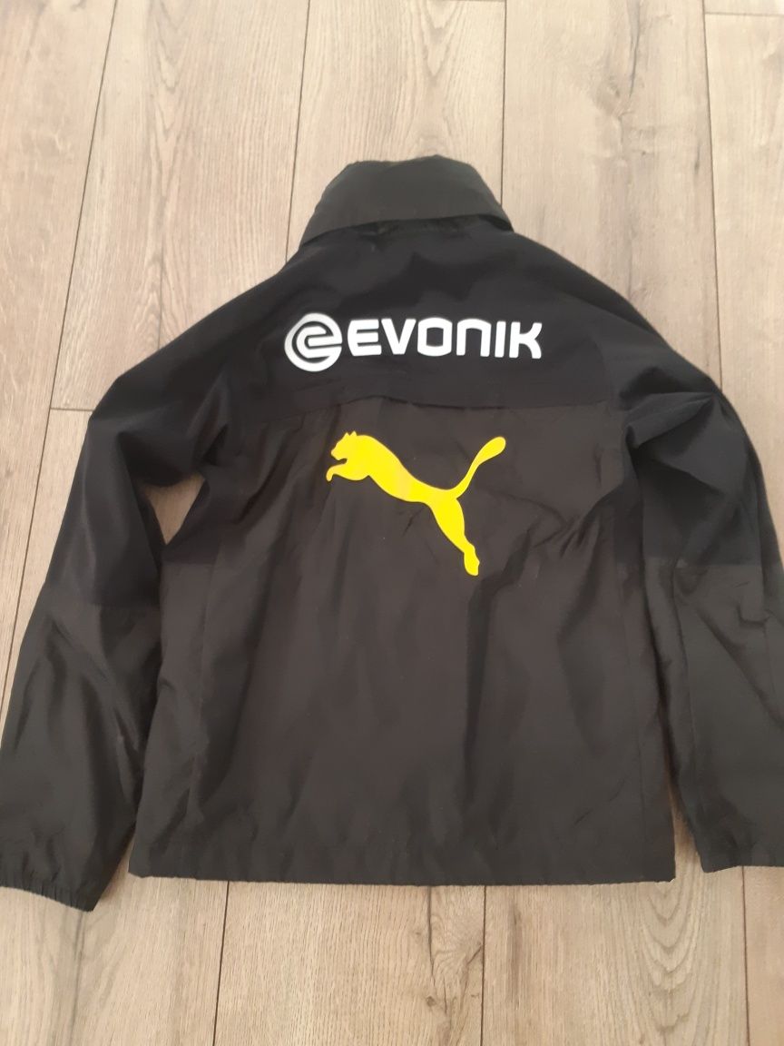 Bluza wiatrówka BVB Borussia Dortmund  Puma