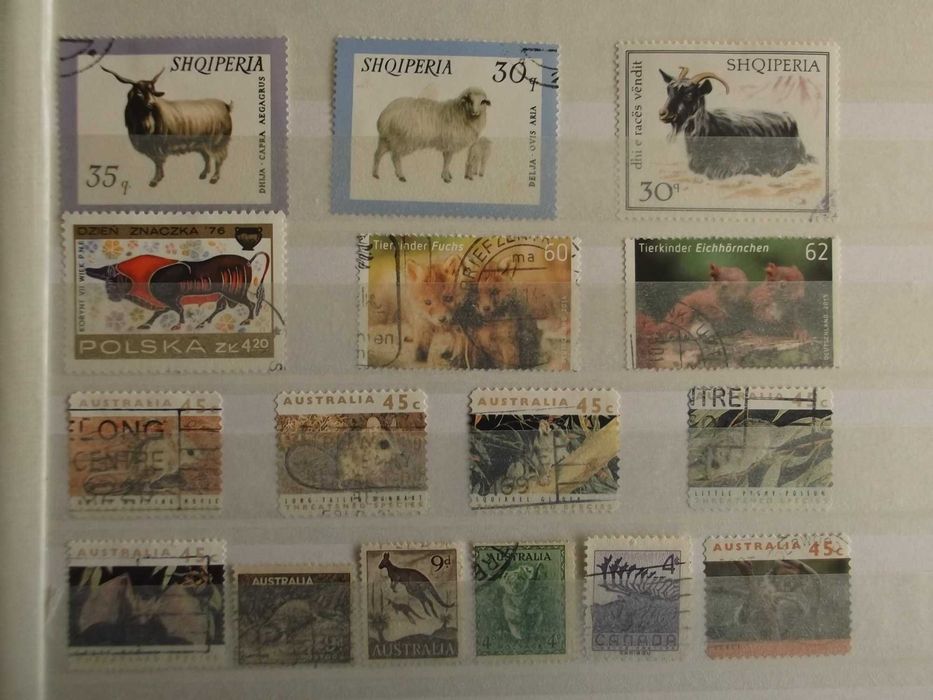 Álbum de selos com o tema Fauna II