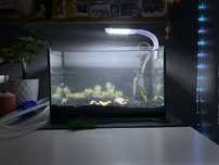 Akwarium 25L, AQUAEL