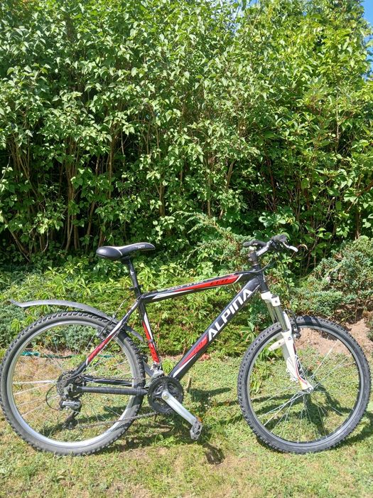 Rower Alpina MTB