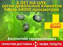 Продам 100% лучших чистильщиков стекол и растений-улиток теодоксус