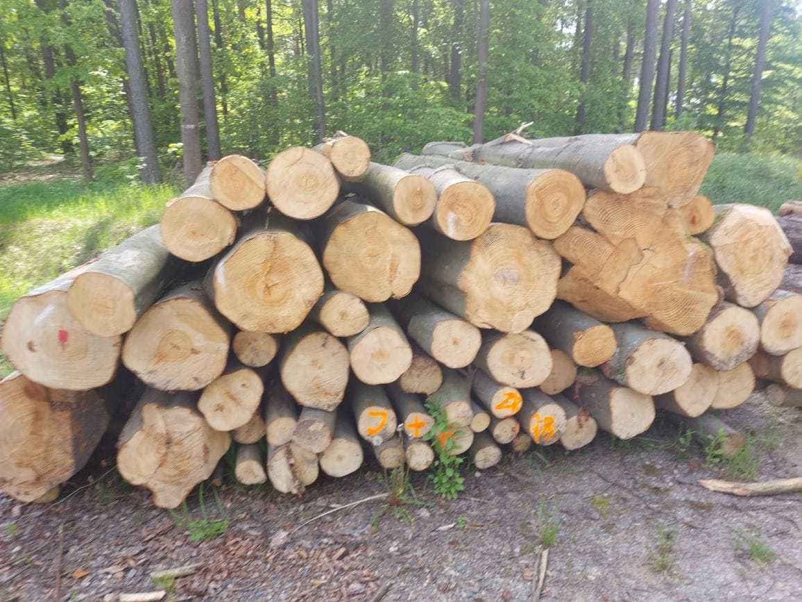 Buk, bukowe drewno opałowe i kominkowe 200mp, w wałkach 2,5 m