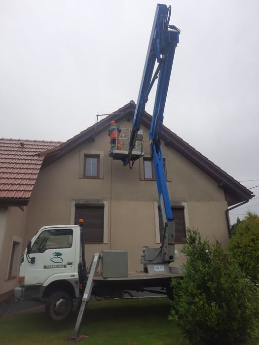 Usługi zwyżką i wycina drzew