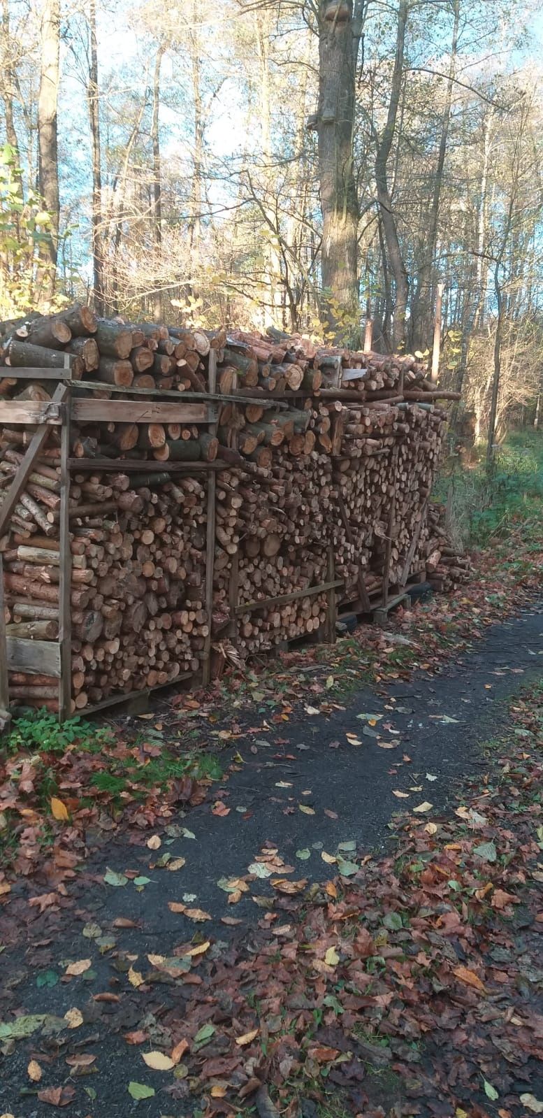 Drewno opałowe (80%sosna, reszta liściaste)