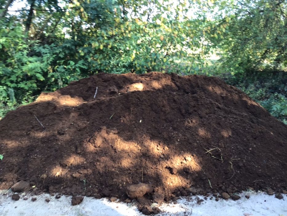 Перегній кінський