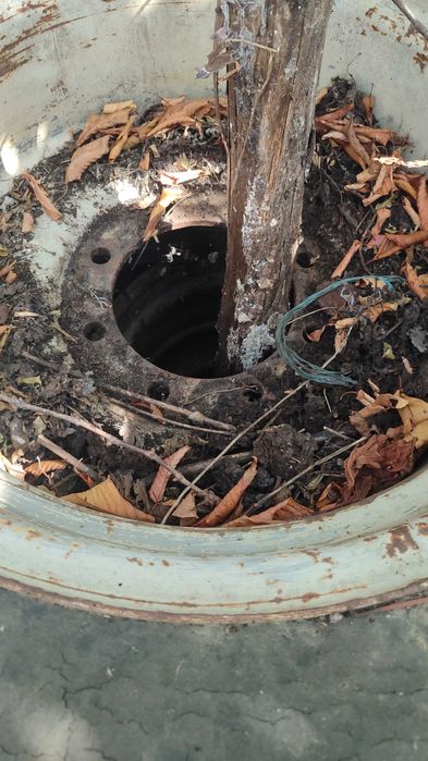 Rodas largas automotriz claas ou Mengele