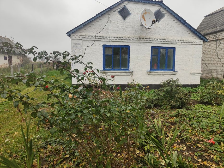 Продається будинок в смт.Ружин