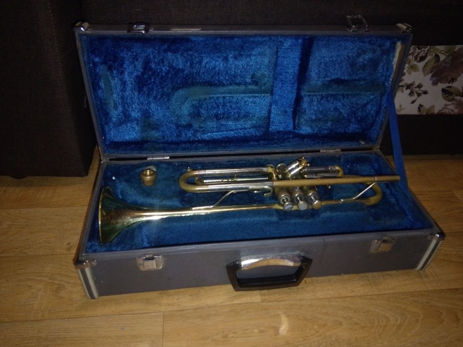 Музикальна труба