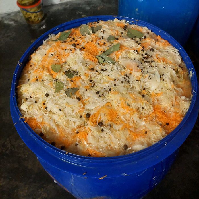 Kapusta kiszona ogórek kiszony.