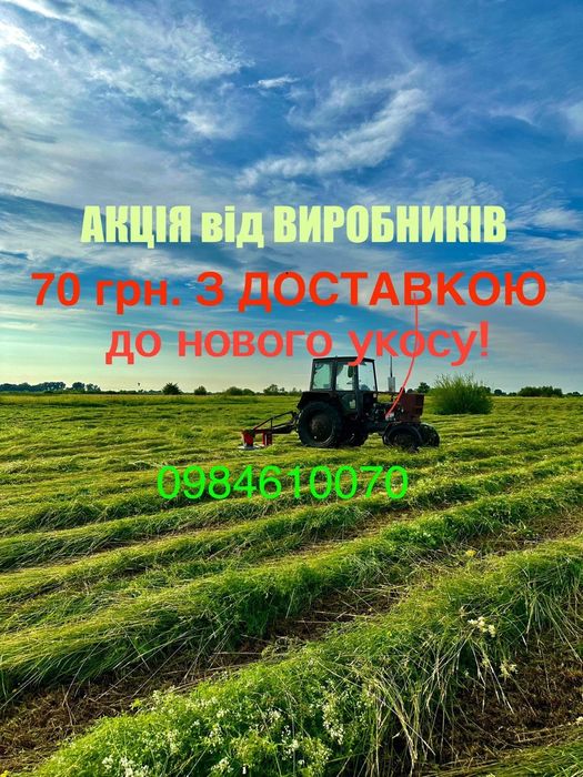 Сіно(сено) в тюках 2025р.. від ВИРОБНИКА