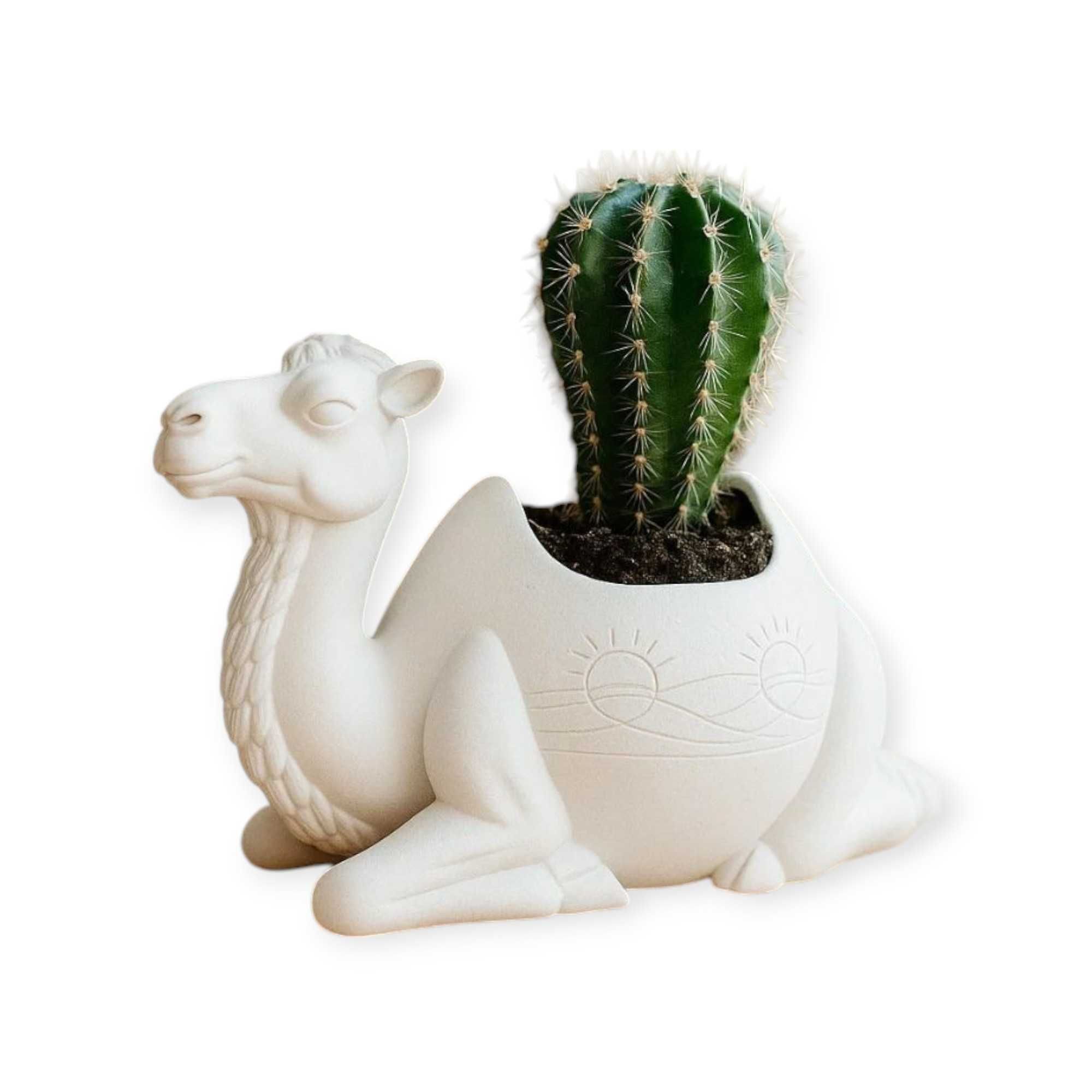 Vaso/Suporte Camelo Desert Sun | Decoração Original Cactos/Suculentas