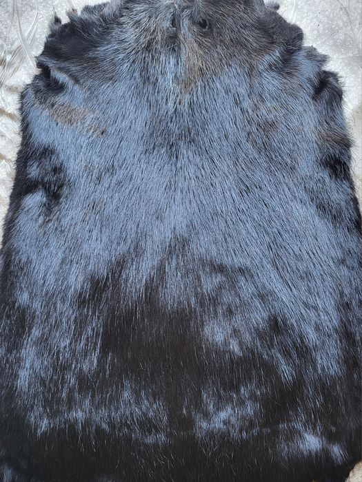 Хутро нутрій/мех/2025