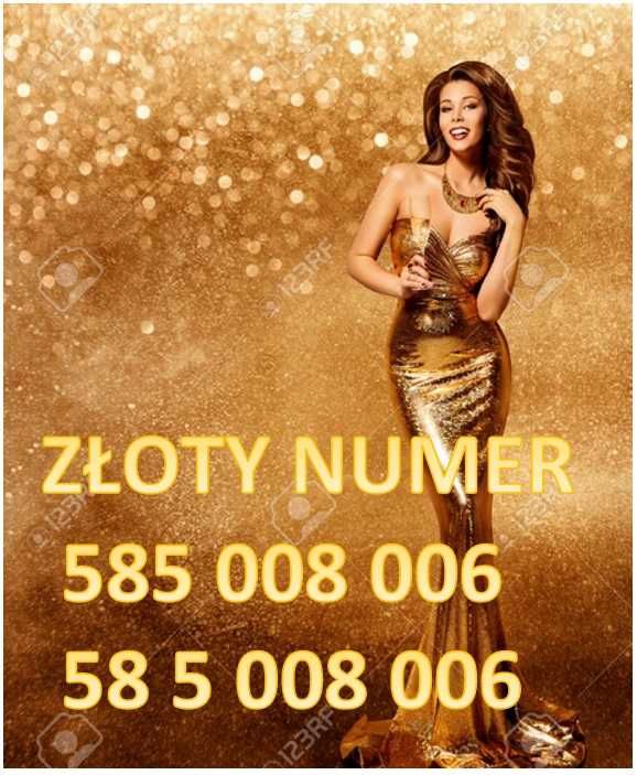 Złoty Numer Stacjonarny 585 OO8 OO6