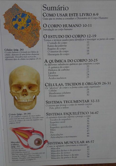 Dicionário Escolar do Corpo Humano