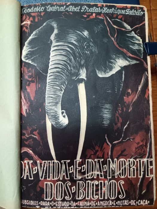 "A Vida e da Morte dos Bichos"