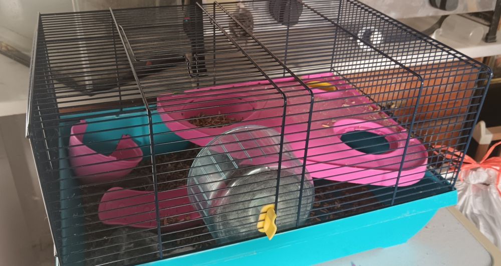 Hamster mais Gaiola