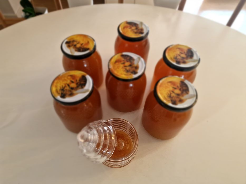 Mel produção biológica