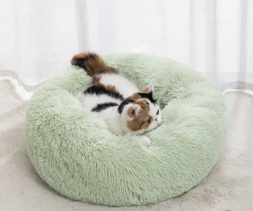 Cama verde gato / cão ( porte pequeno )