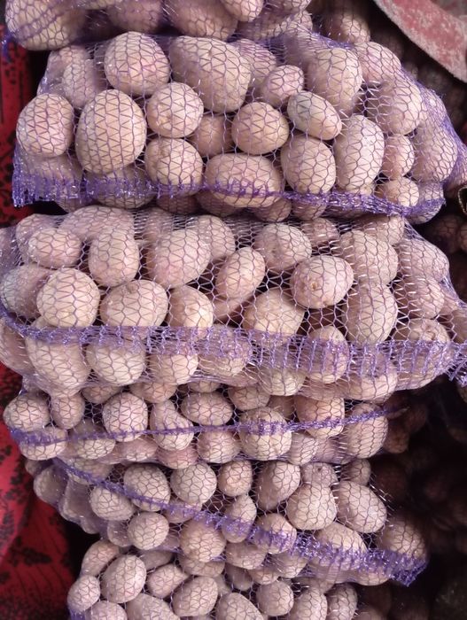 Ziemniaki Belarosa worki 15kg