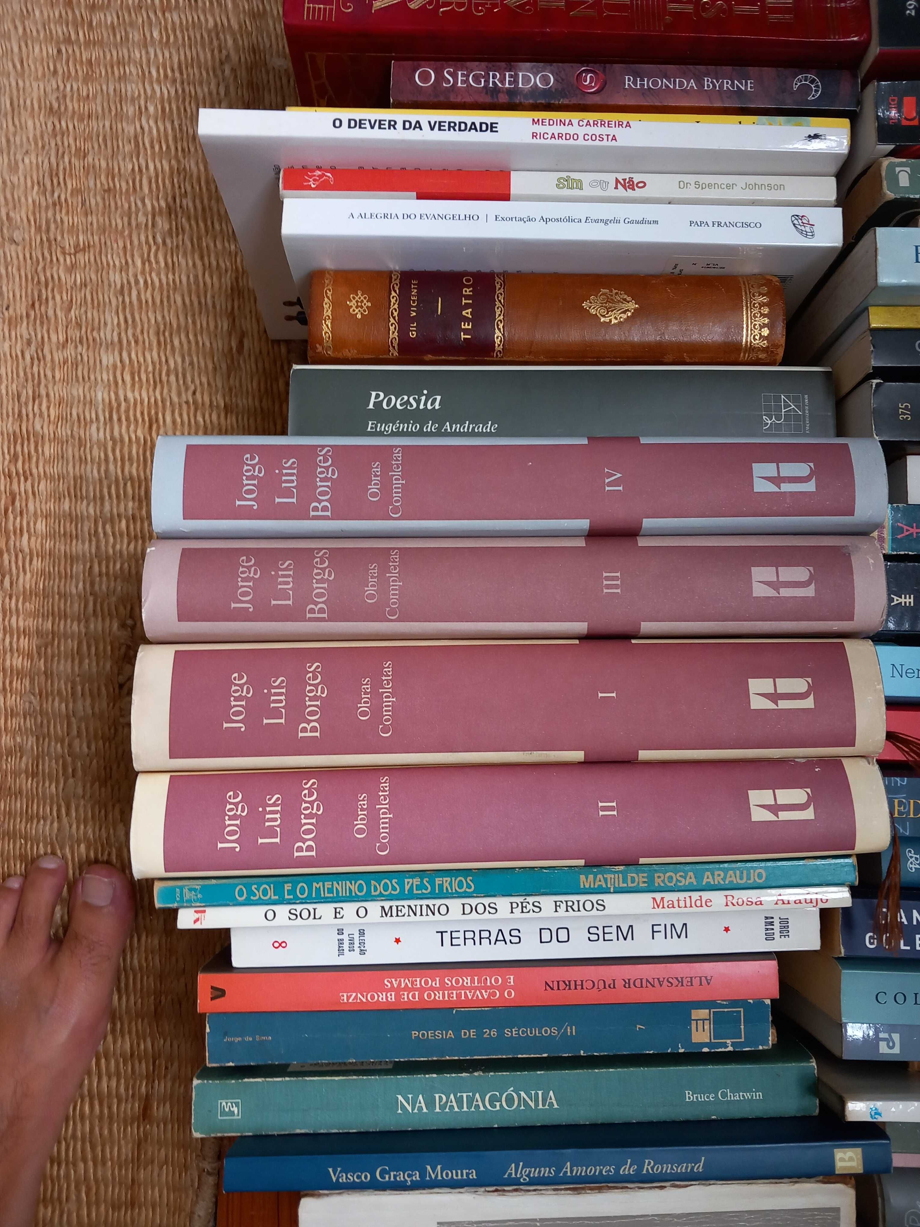 Lote de 74 Livros de qualidade