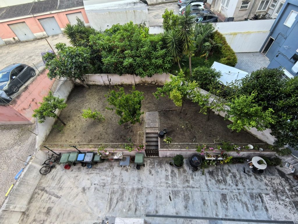 Faco manutenção de jardins, desmatação,podas e abates de árvores.obr
