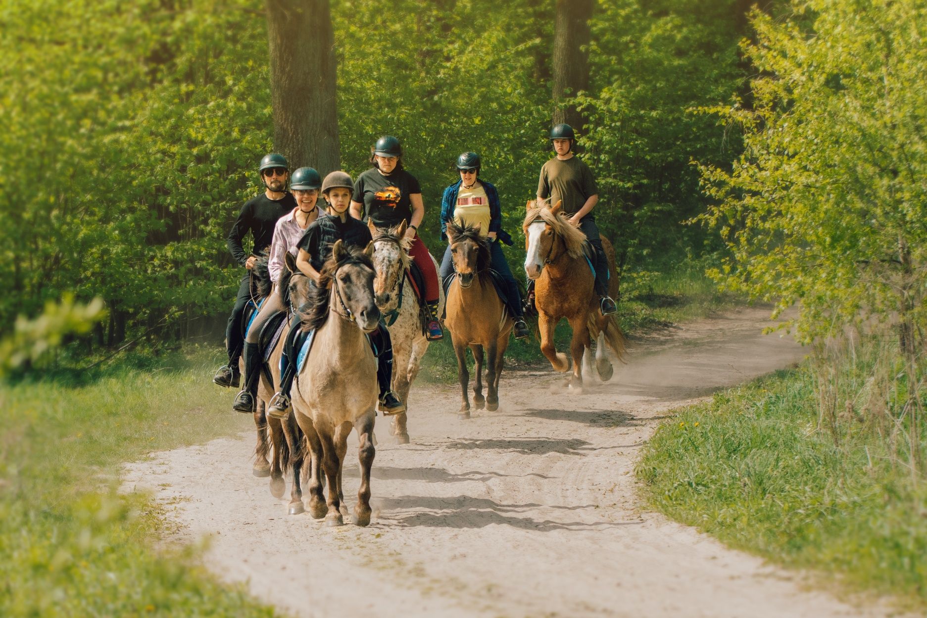 Sowia  Chatka,  domek w naturze, domek w lesie,  wzgórza dylewskie