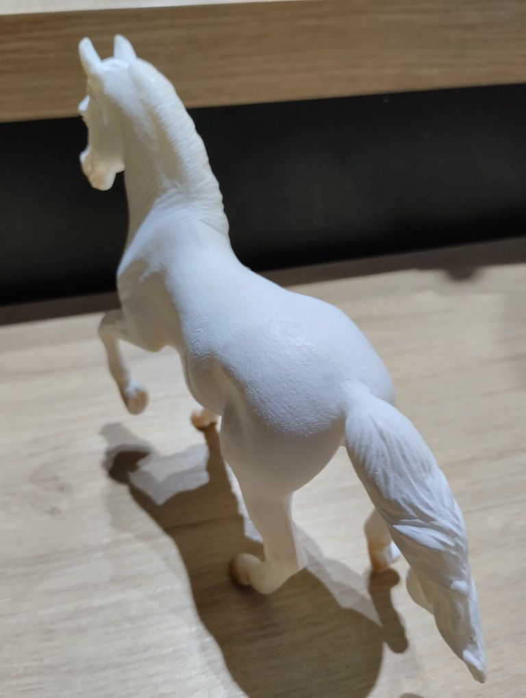 Collecta konik biały