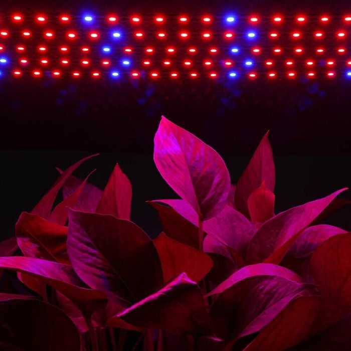 LED Grow Strip Lights 5Pcs 25W- Fitas led para iluminação de plantas