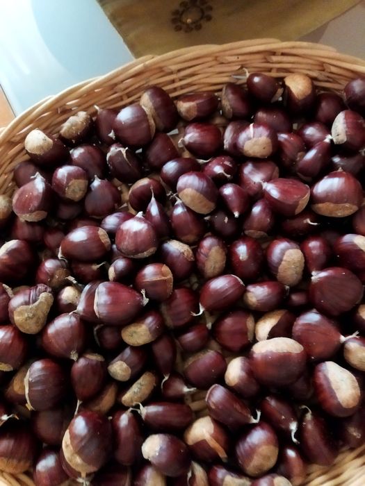 Vendo Castanhas Boa Qualidade