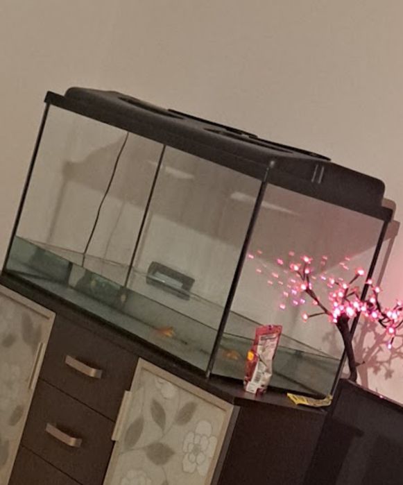 Akwarium 200l z oświetleniem