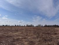 Продається земельна ділянка в с. Якушинці