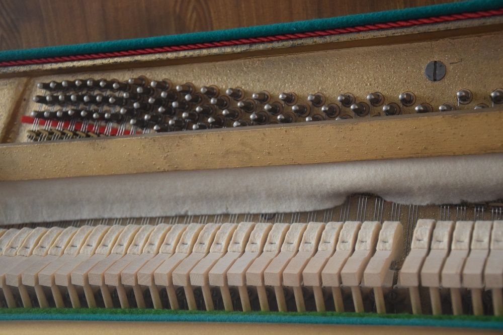 Piękne Białe pianino Calisia