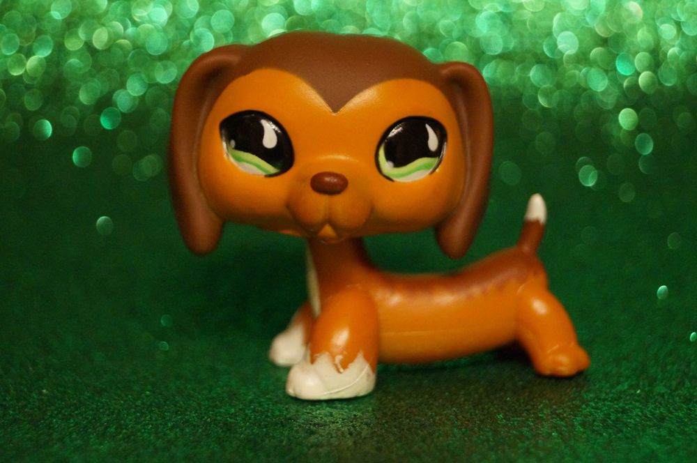 Littlest Pet Shop LPS jamnik #675 oryginalny pop Savannah