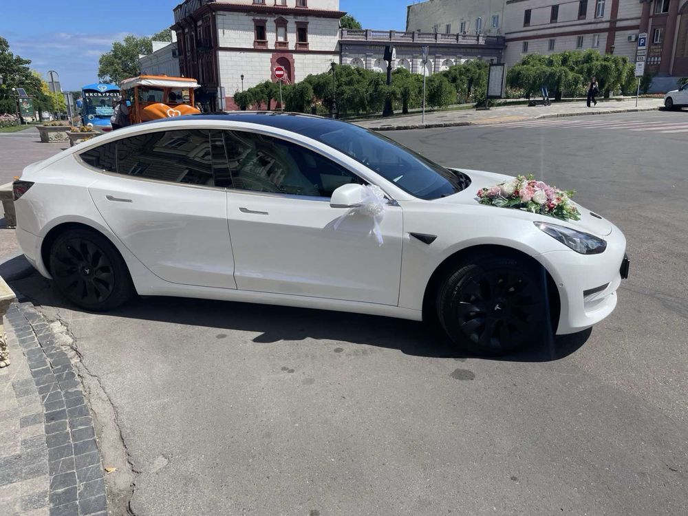 Аренда Tesla Model 3 2019г.